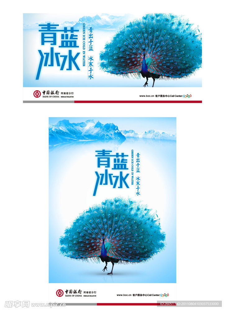 夏天 孔雀