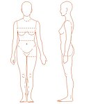 人体测量 女人 服装内衣人体