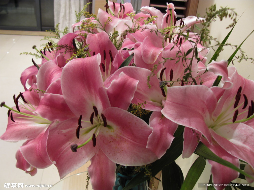 百合花