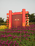 郁金香花展门柱图
