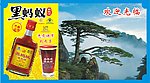 黑蚂蚁