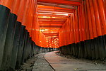 复杂的鸟居（日本牌坊）