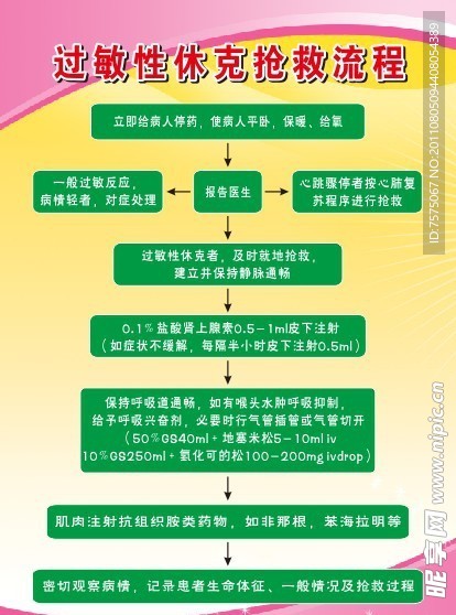 休克抢救流程