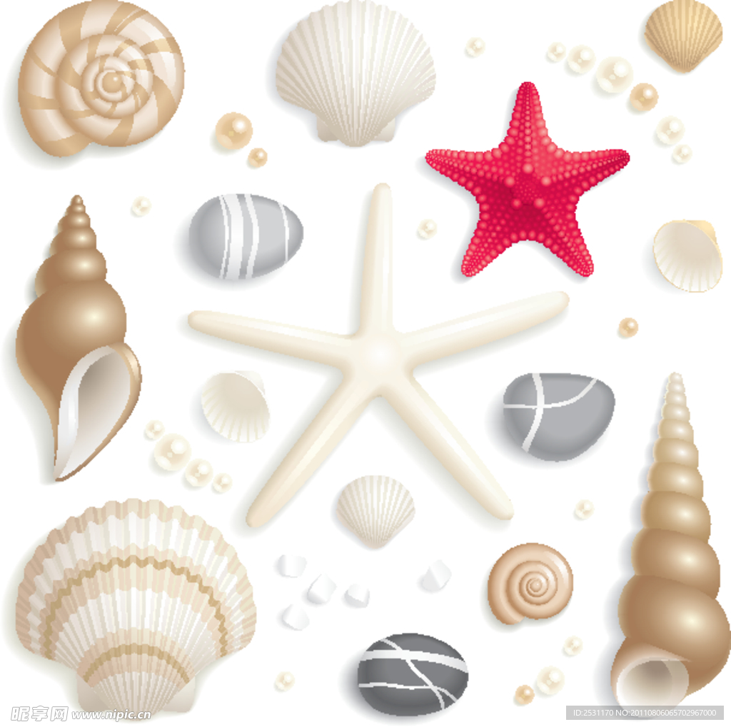 贝壳 海螺 海星 珍珠