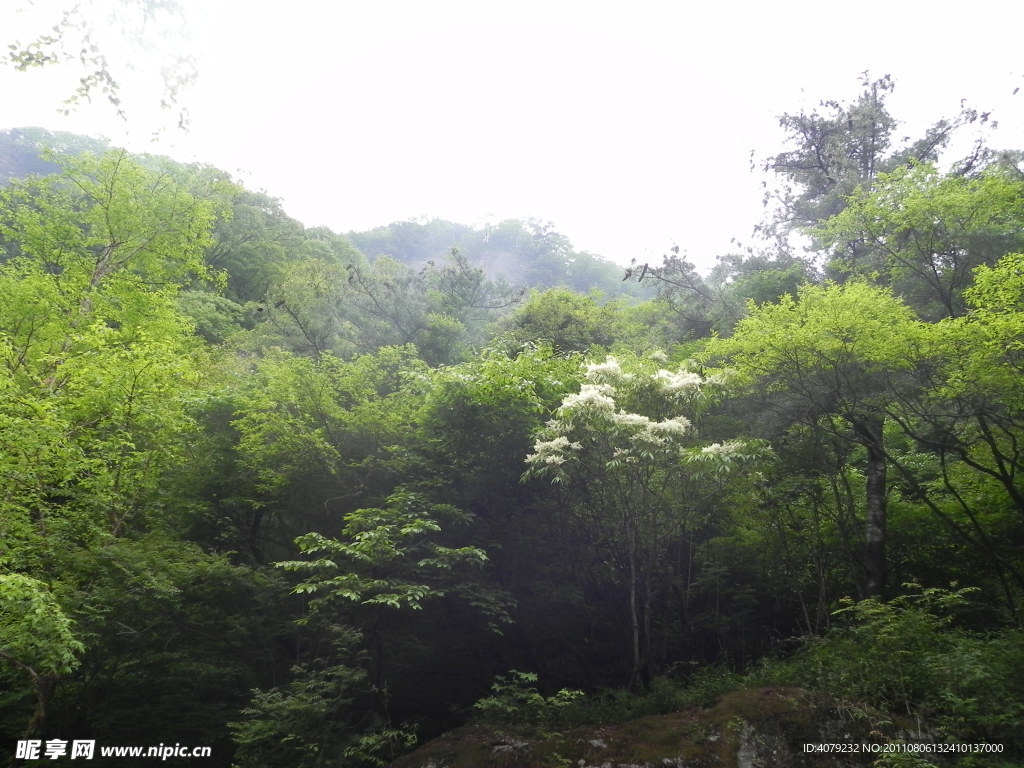 秦岭山水