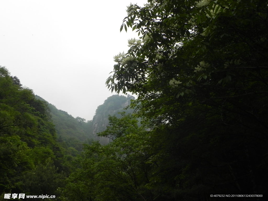 秦岭山水