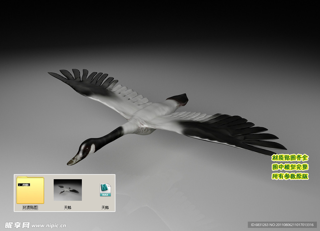 白天鹅3D三维模型建模