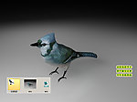 青鸟3D三维模型建模