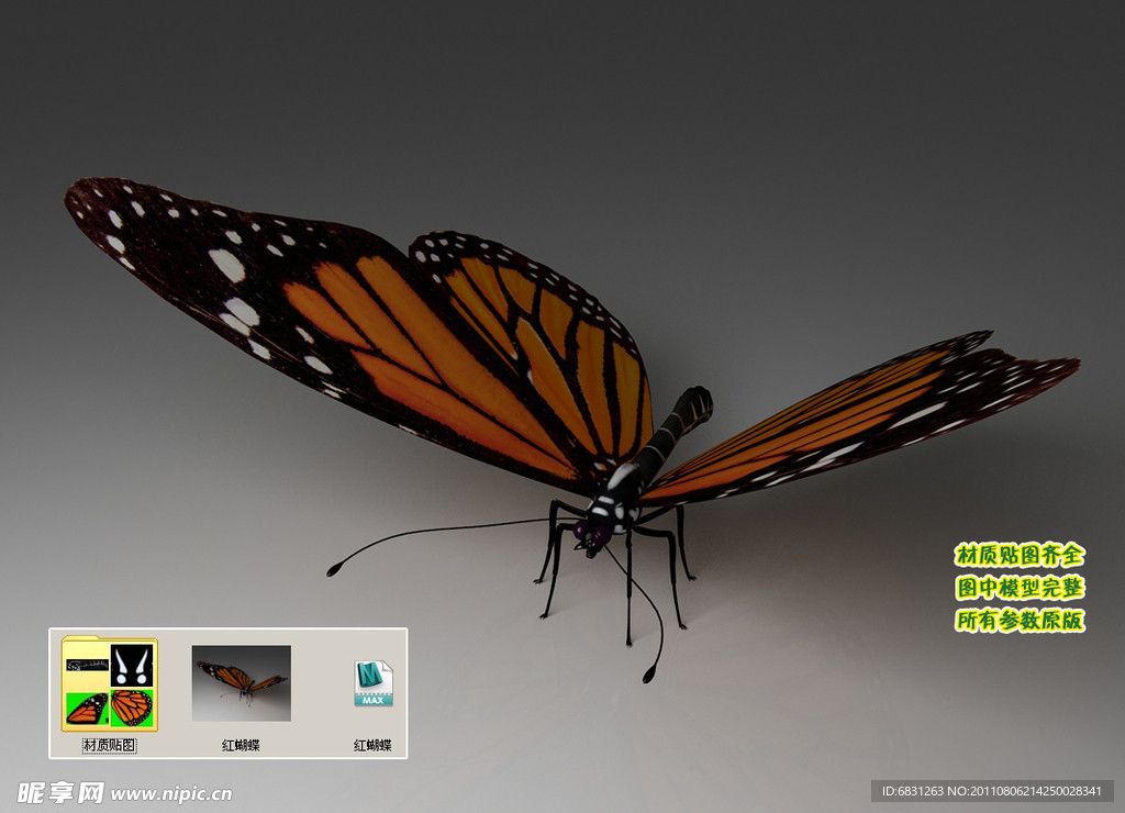 红蝴蝶3D三维模型建模