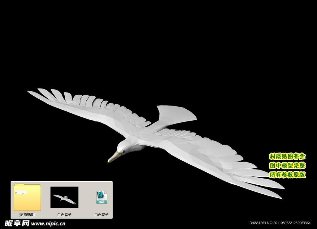 白色鸽子3D三维模型建模