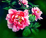 名花倾园