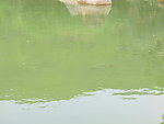 湖水