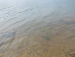 湖水