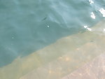 湖水