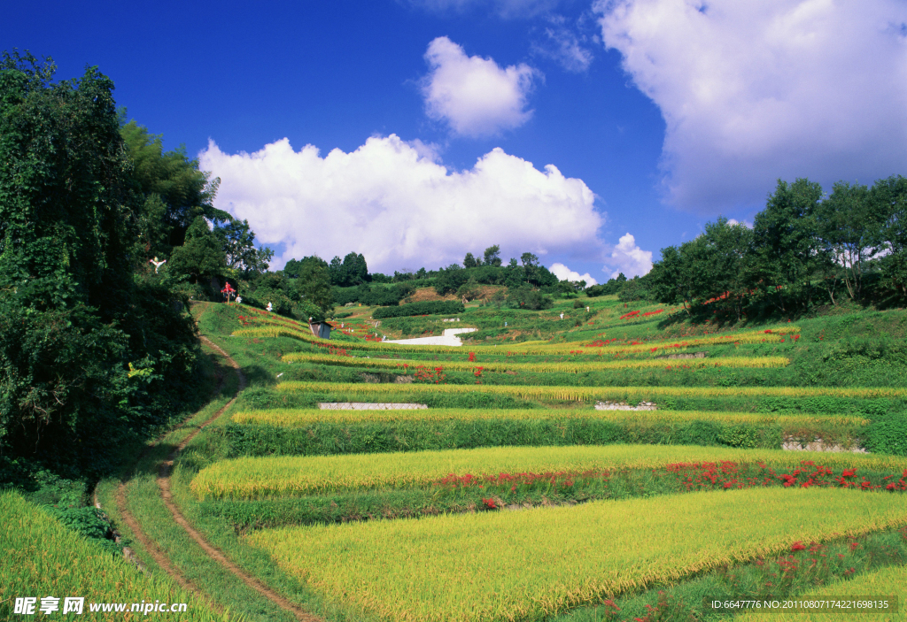 田园风光