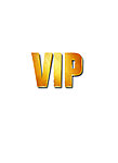 金质VIP