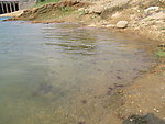 水库