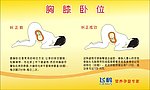 胸膝卧位