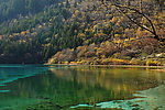 奇妙的风景