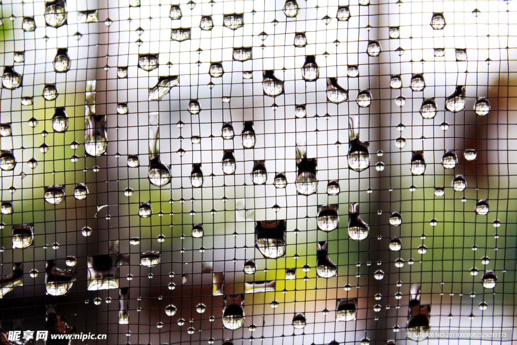 纱雨连珠