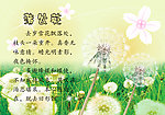 蒲公英海报设计