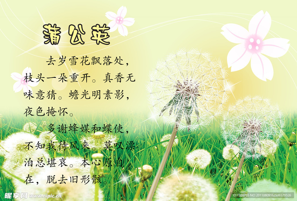 蒲公英海报设计