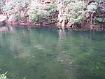 梨木台山水