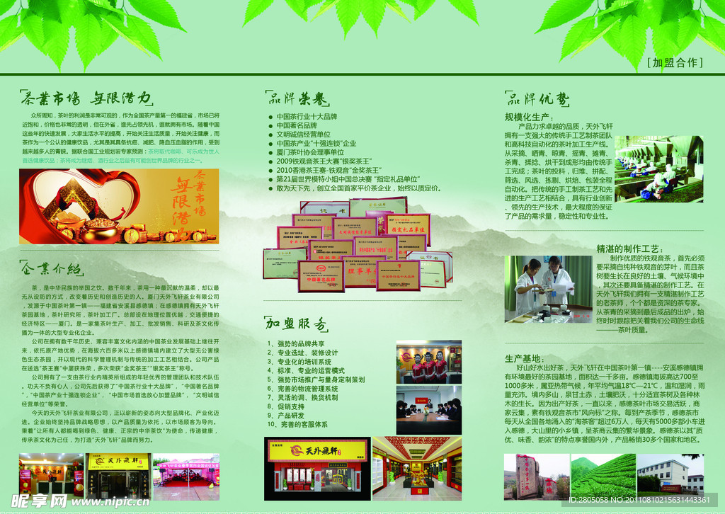 茶叶 三折页