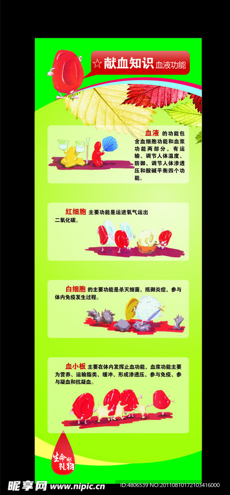 献血知识