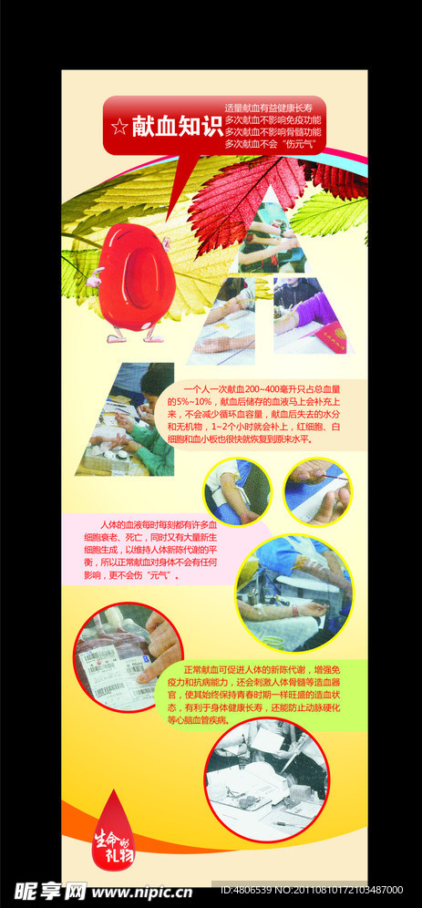 献血知识