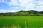 田野风光