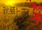 秋装上市海报