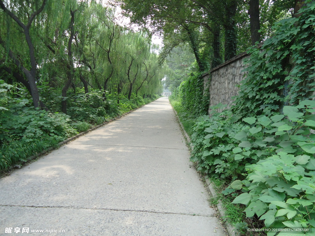 小道