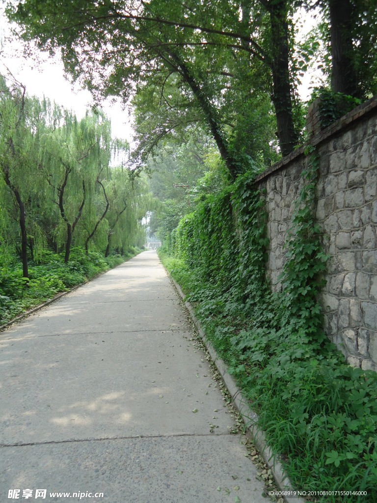 小道