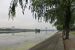 临沮公园