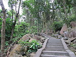 山中石梯