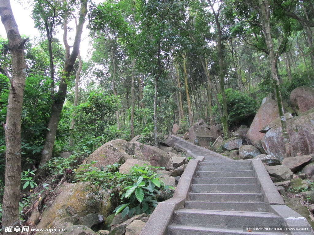 山中石梯