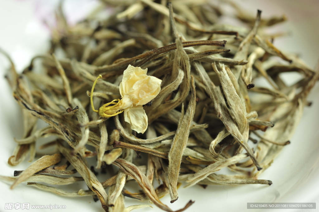 茉莉花茶