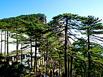 黄山美景