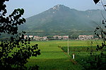 农村新居