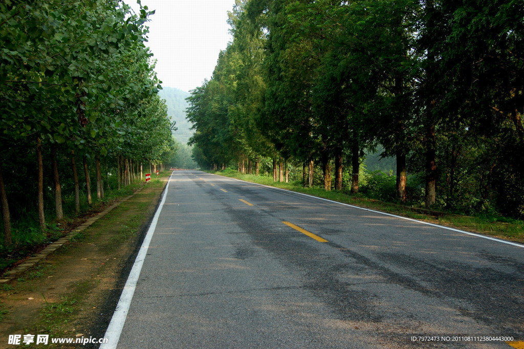 乡村公路