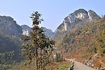 山园