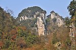 山草一家