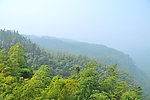 青山绿树