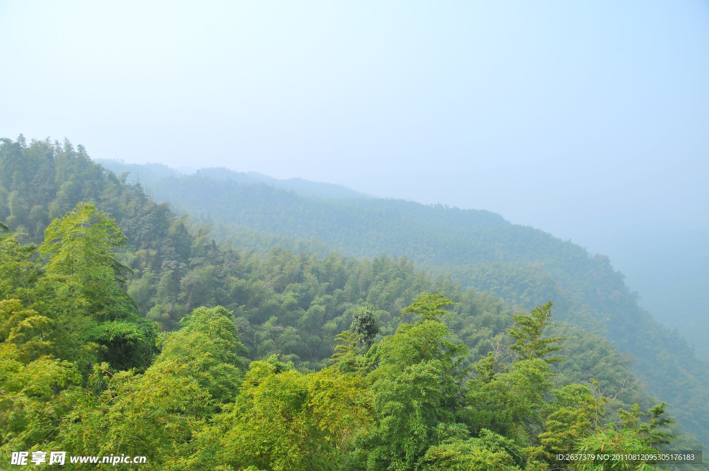 青山绿树