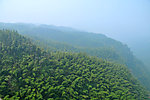 青山绿树
