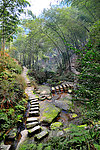 山中小林