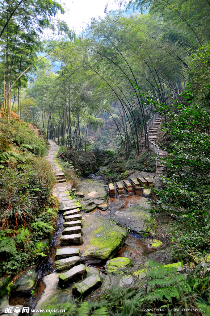 山中小林