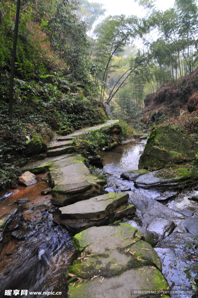 山中小林