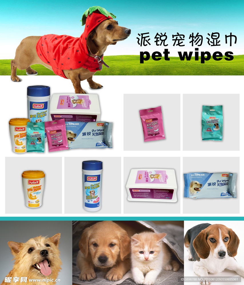 宠物湿巾宣传单